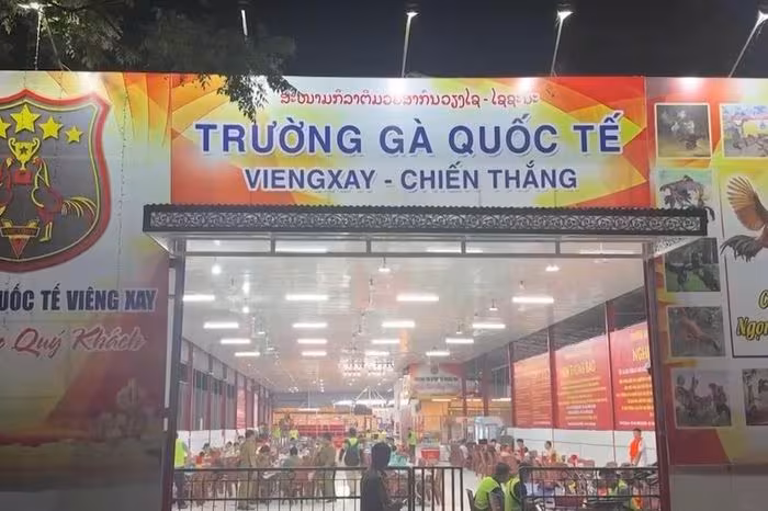Triệt phá trường gà Viêng Xay: Đường dây đánh bạc 1.200 tỷ đồng