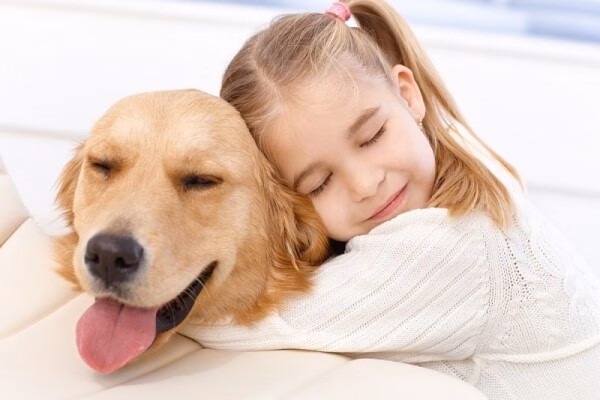 Việc vệ sinh nơi ở và tiêu diệt bọ chét trên vật nuôi là chìa khóa quan trọng để phòng bệnh hiệu quả.